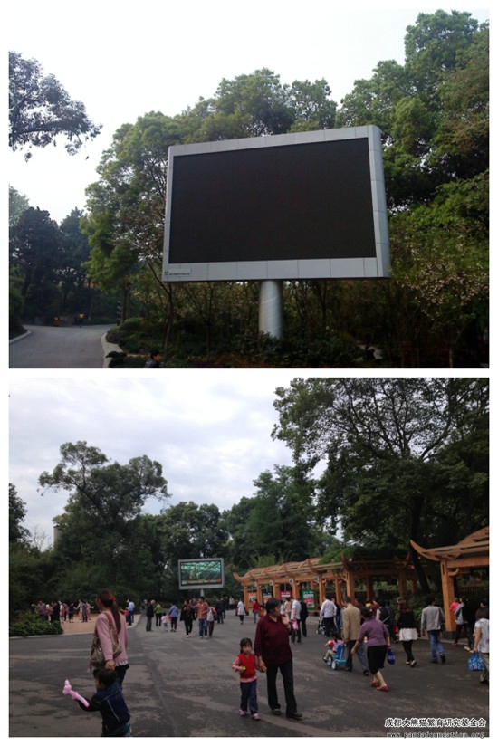 动物园LED屏 实际效果_副本.jpg