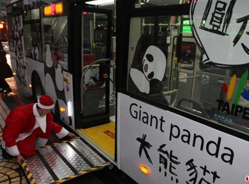 台北公交车引进大熊猫宝宝萌叫声问候乘客