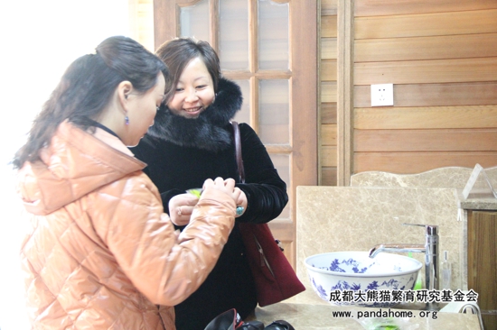 大熊猫FANS-----雷雁女士的熊猫情缘