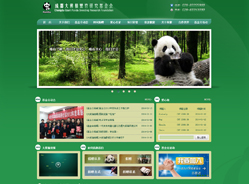 2013年基金会官方网站建设情况