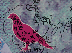 “拒绝野生生物贸易”展收获颇丰