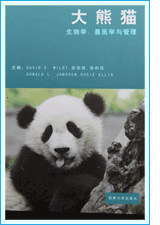 大熊貓.jpg