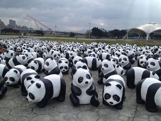 熊猫大军台北街头玩“快闪” 郝龙斌:熊出没注意