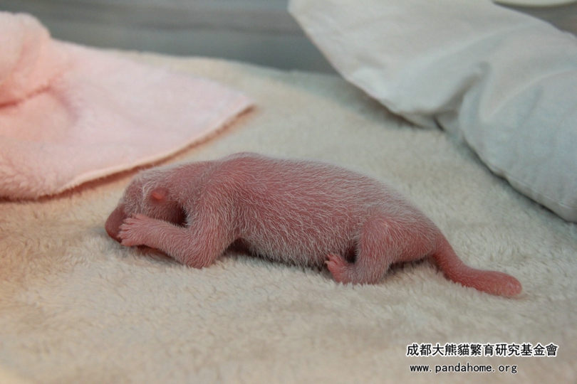 fe96e4d6c5163e82e7bee1ae6d1c8973 (1).jpg