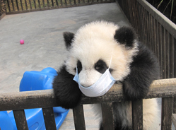 春天里的那些事