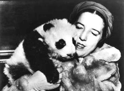 漂泊之路——苏琳