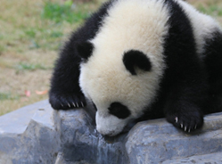 我们的水上乐园哦