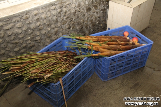 15给阿宝和喜兰熊猫准备的食物.jpg