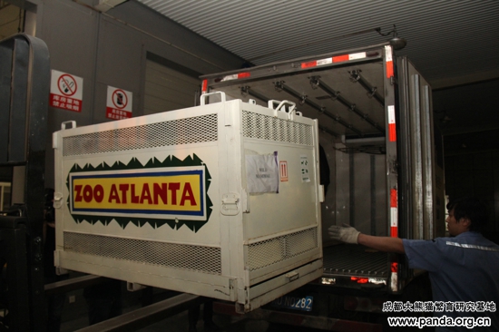 3机场前往熊猫基地装车1.jpg
