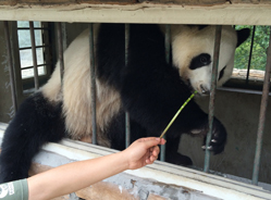 梁上美女营救记（二）