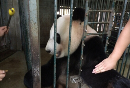 幸浜的第一次血压监测