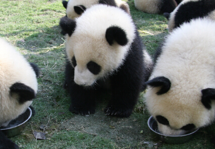 爱不释手的各个瞬间