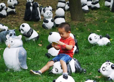 苏州天平山千只“大熊猫