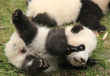 深秋的午后时光