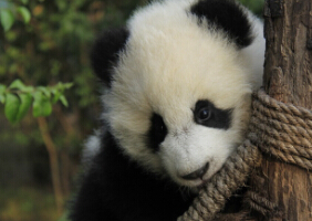 一饱眼福的机会