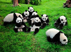 “激励大师”和他的爱心之旅