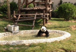 秋日阳光下的贝贝