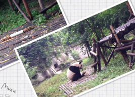 美兰的环境丰容项目