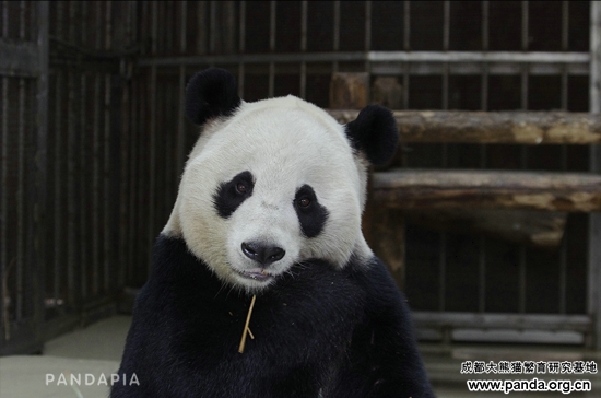 20141217-爱浜2 Logo.jpg