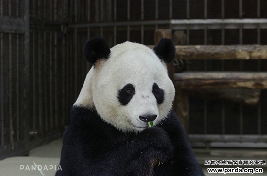 20141217-爱浜 Logo 2.jpg