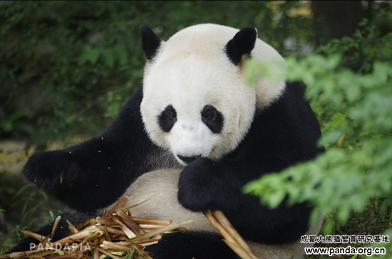 20140908_爱浜-011 Logo.jpg