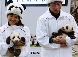 日本新生姐妹花命名仪式日前举行