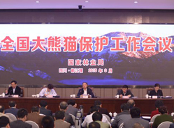 全国大熊猫保护工作会议召开