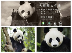 中央政府再次赠澳大熊猫 “开开”“心心”即将于明日正式亮相澳门——暨《黑与白的魔法空间—熊猫亦艺术》艺术联展在澳门盛大开幕