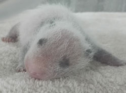 “未命名”的小鲜肉