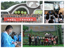 呆萌国宝陪你贺新春----熊猫讲堂春节专场预告