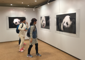 保护动物、保护自然就是保护人类自己——记艺术家心目中的“熊猫亦艺术 保护无国界”大熊猫艺术全球巡展