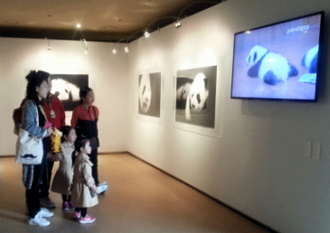 “UNDP系列活动”持续升温 —— 大熊猫全球艺术巡展韩国站正在进行时