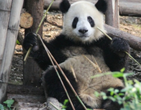 “囡和兴”的“六一”节日礼物