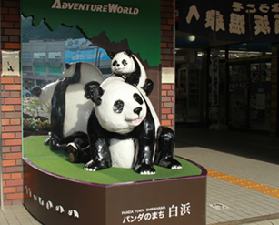 无所不在的大熊猫元素