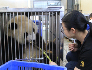 “七巧”“七喜”姐妹花去鄂尔多斯啦！