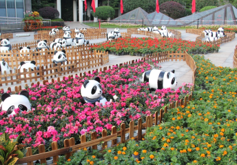 “保护熊猫 相约成都”——“熊猫讲堂”2016国庆专场等你来玩！