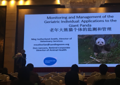 2016大熊猫繁育技术委员会年会报告——老年大熊猫饲养议题
