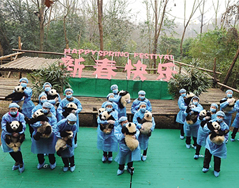 23只大熊猫宝宝再聚贺新春