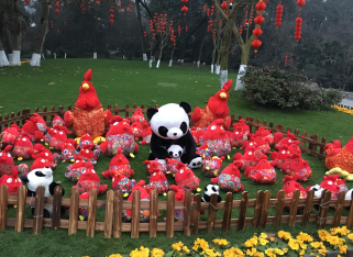 新年新面貌，熊猫贺新春之鸡年大吉篇