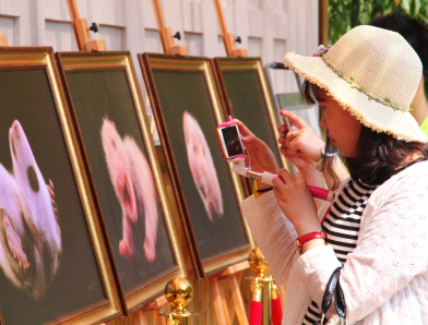 聚焦成长，感悟生命——记“黑与白—生命的触动”摄影展