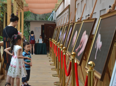 探寻“六一”儿童节小粉丝们的身影