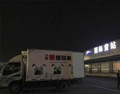 旅日大熊猫兄妹“浜”荣耀归来 ——旅日大熊猫“海浜”、“阳浜”、“优浜”顺利归国