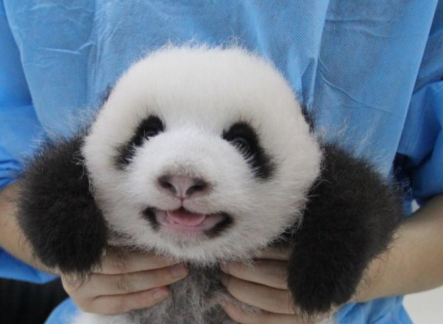 “萌兰”宝宝两岁啦！