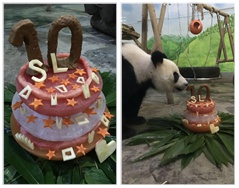 风雨后的生日会