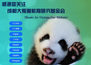 我会PC端小语种网站正式上线