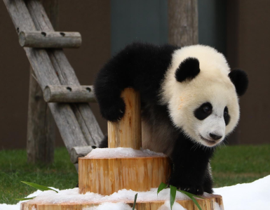 “良浜”，17岁生日快乐！