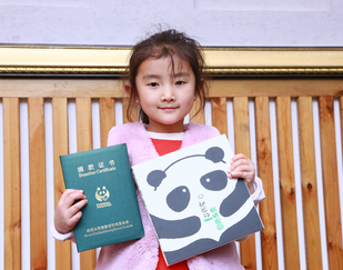 狗年春节献爱心 有您参与熊猫乐