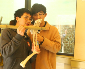 实景课堂助科普，熊猫讲堂“飞”起来