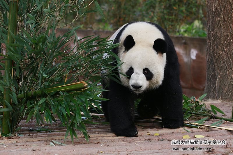 蜀祥の食事時間