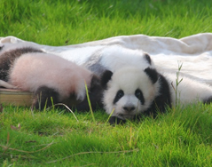 墨韵未浓，秋意正酣
